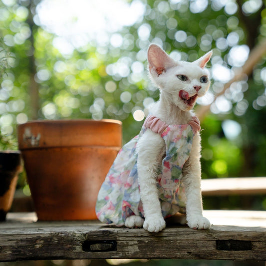C012-Floral Pumpkin Dress for Cats Summer Breathable Wear for Devon Rex Sphinx Cat with Adorable Floral Pattern
