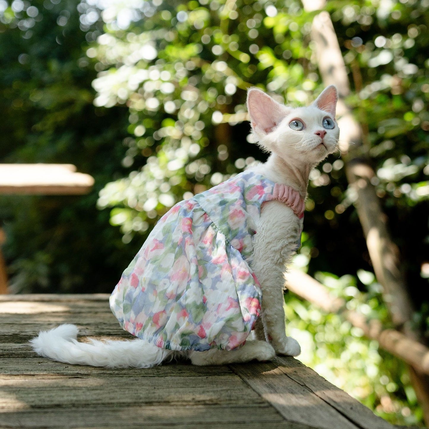 C012-Floral Pumpkin Dress for Cats Summer Breathable Wear for Devon Rex Sphinx Cat with Adorable Floral Pattern