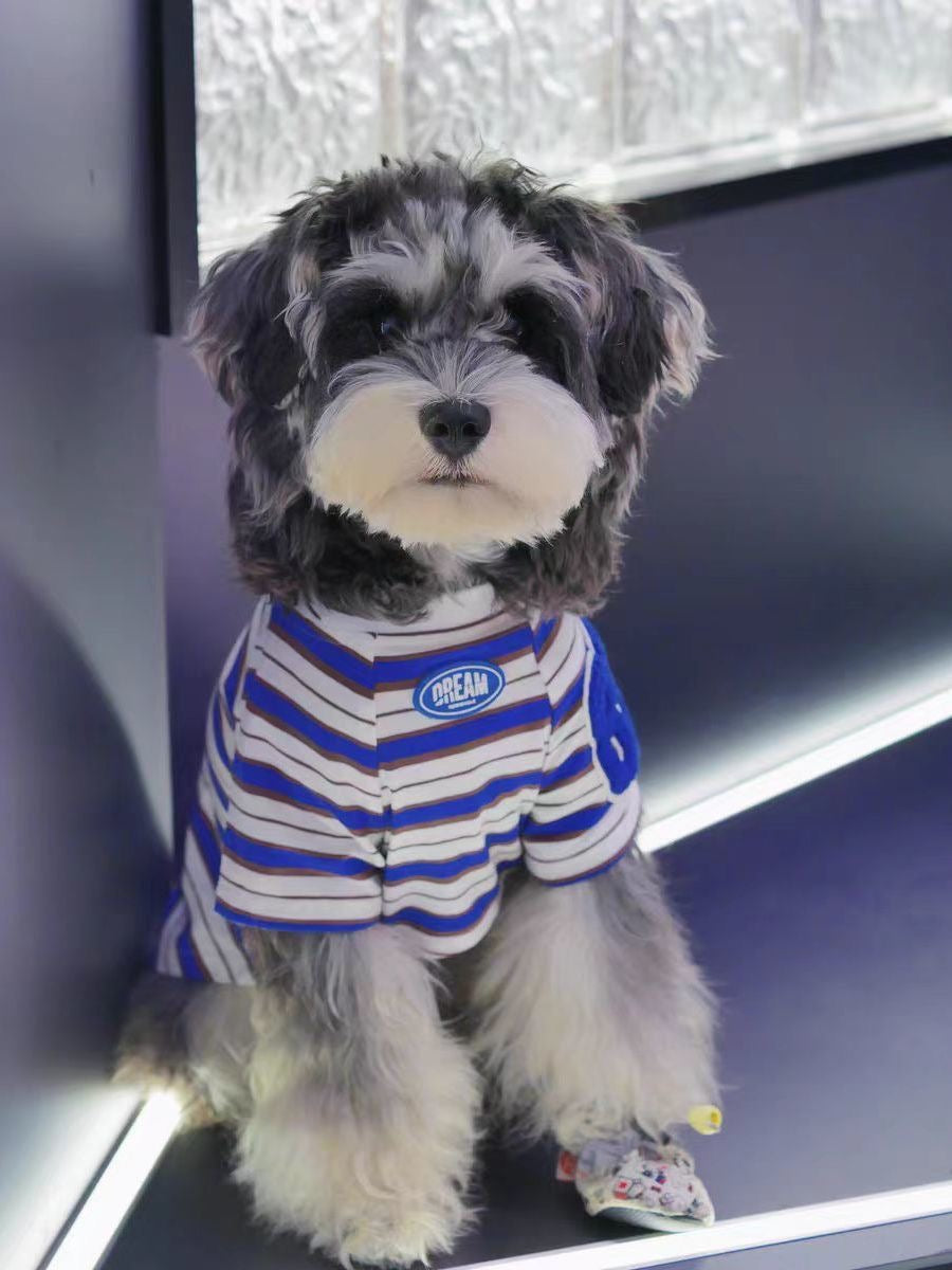 M007-Dark Blue Stripe T-Shirt for Small Dogs Summer Wear Schnauzer Bichon Maltese Boy Dog Shirt Comfortable & Stylish