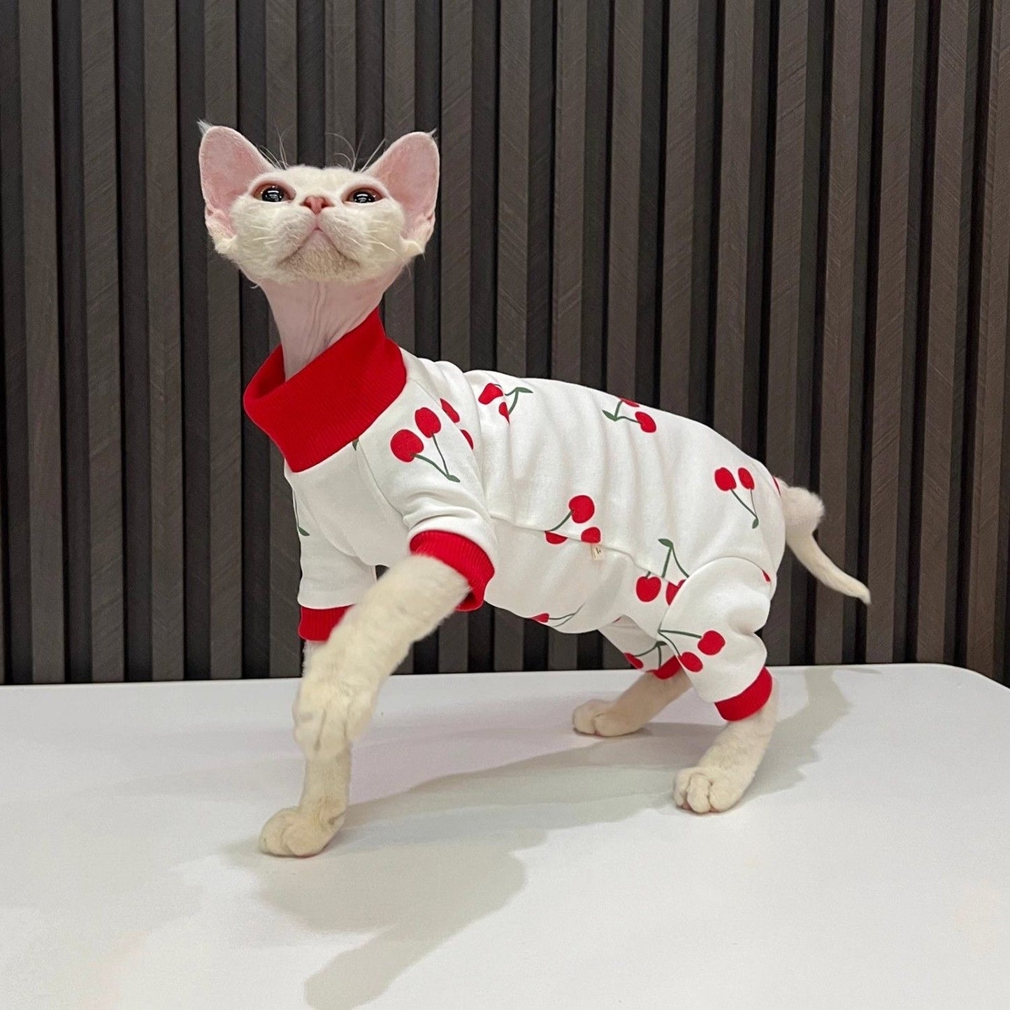 C013-Cherry Print Romper for Cat Fourlegged Shirt for Cats Comfy Wear Pajama Red and White Design Comfortable Wear for Your Feline Friend