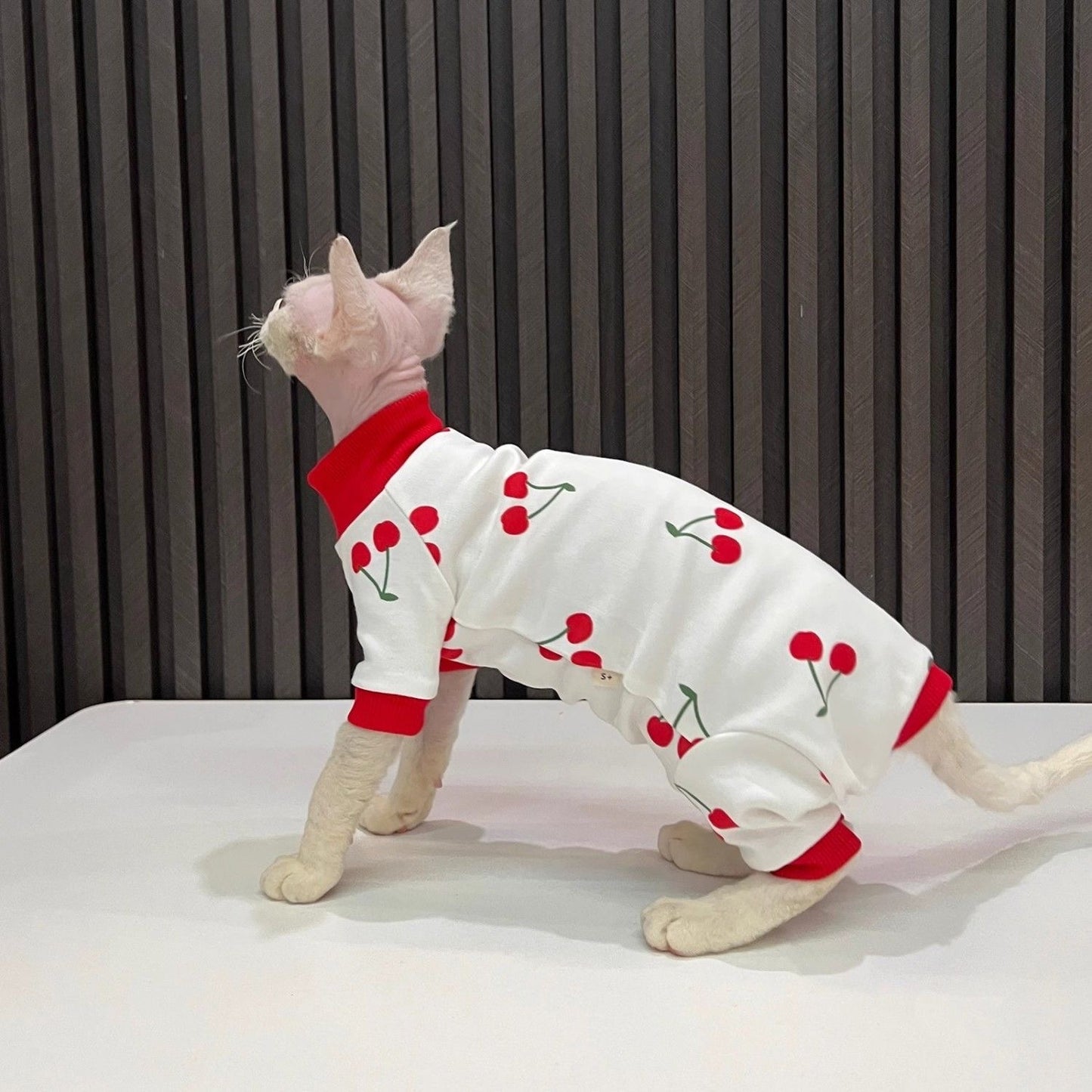 C013-Cherry Print Romper for Cat Fourlegged Shirt for Cats Comfy Wear Pajama Red and White Design Comfortable Wear for Your Feline Friend