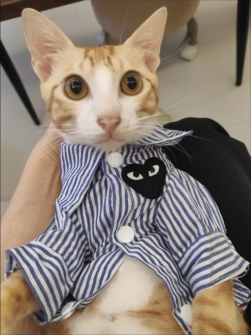 M011-Blue Striped Class Pattern T Shirt for Dogs and Cats Summer Wear for Boy Dog with Fun Black Patch Design