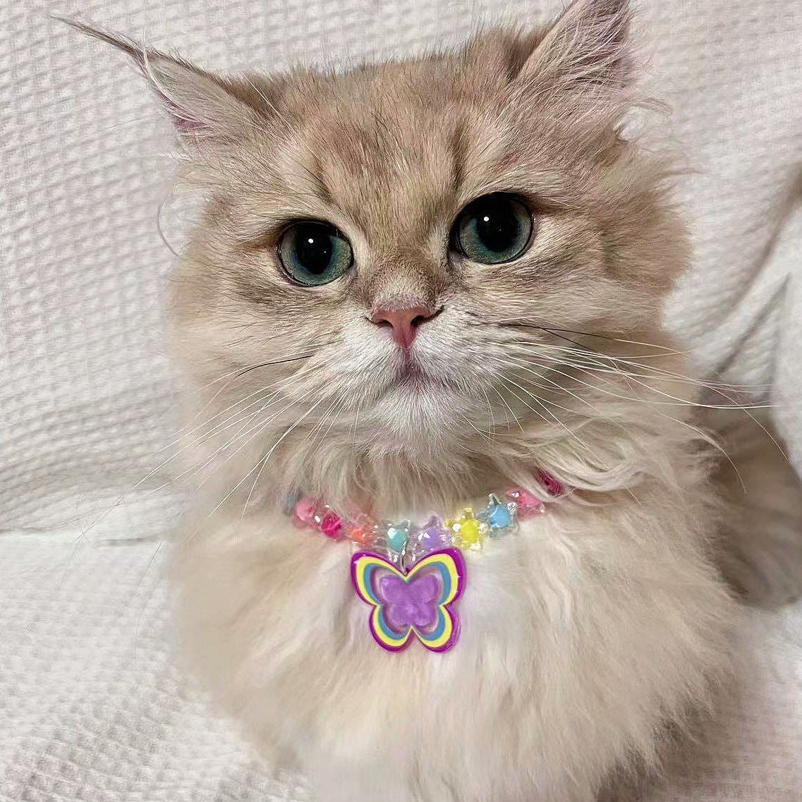 A002-Cute Necklace Butterfly Colorful Rainbow Color for Dogs Cats Small Pets Pet Accessories Birthday Gift