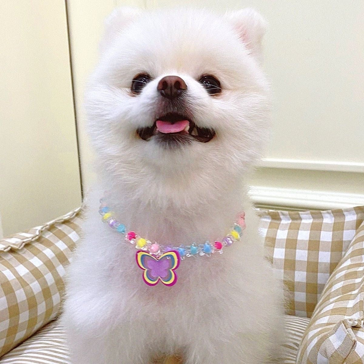 A002-Cute Necklace Butterfly Colorful Rainbow Color for Dogs Cats Small Pets Pet Accessories Birthday Gift