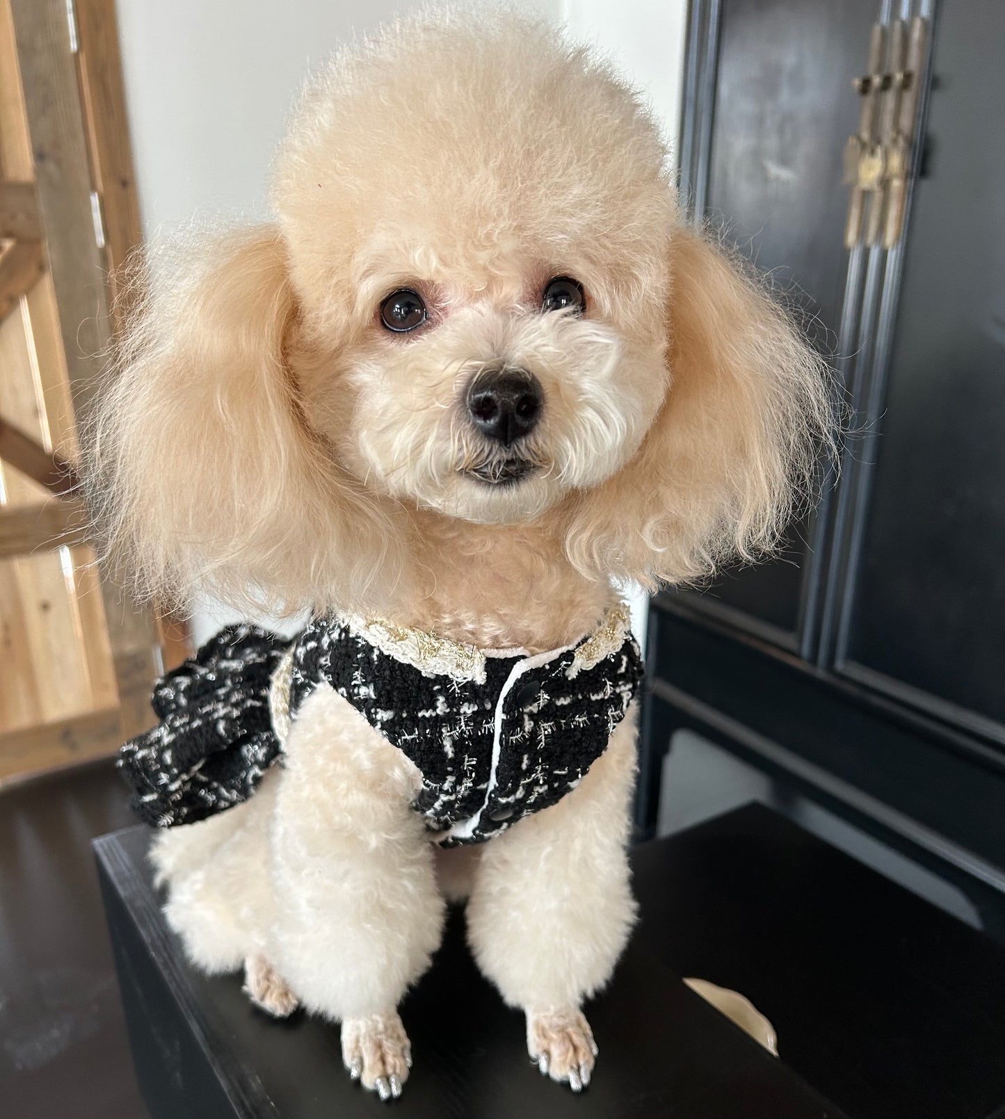 F028-Autumn Winter Dog Dress with Fleece – Elegant Tweed Style Outfit for Small Dogs, Maltese, Yorkie, Bichon, Chihuahua – Warm Pet Clothing