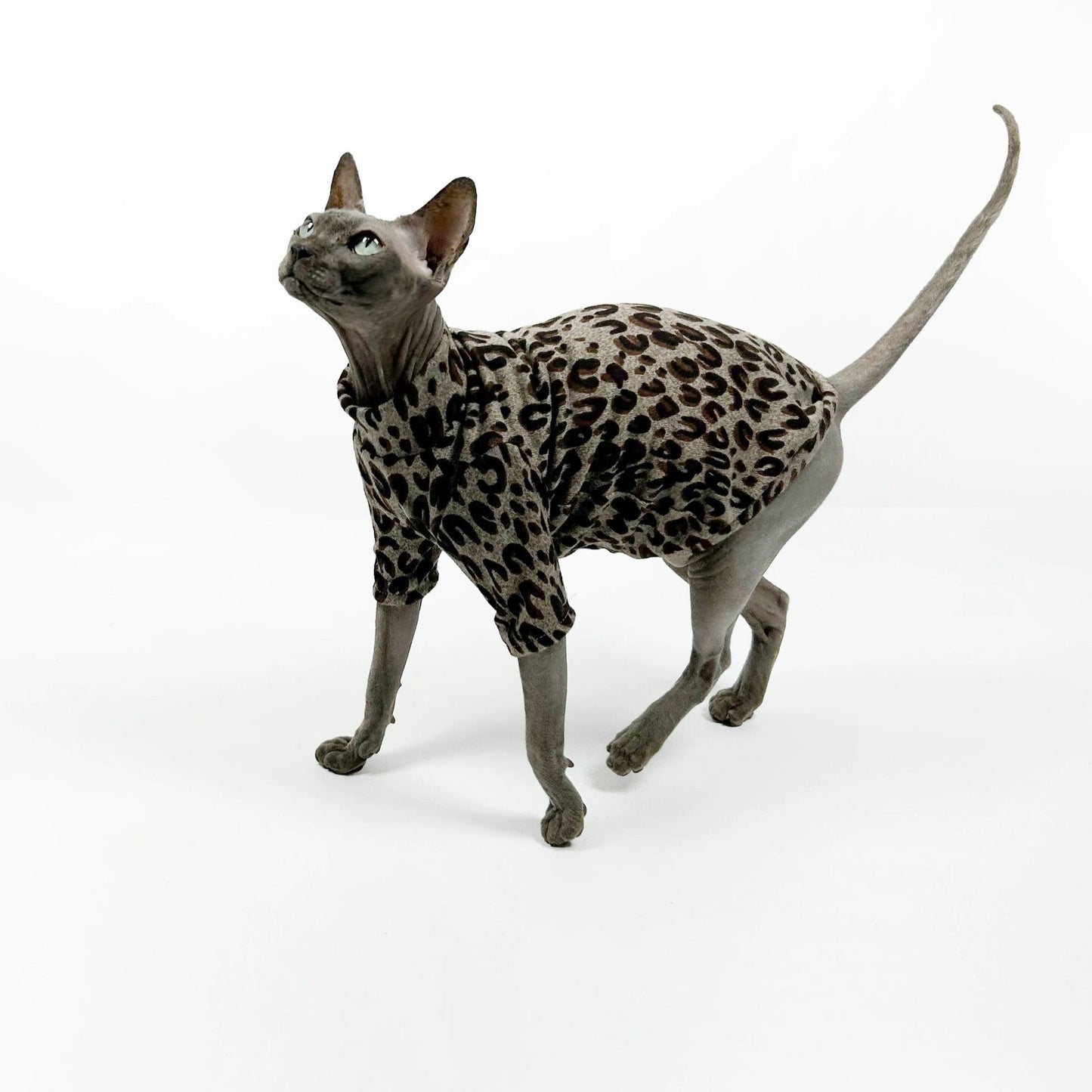 C002-Ice Silk Cat Vest – Thin Leopard Print for Sphynx & Devon Rex Hairless Cats, Breathable & Stylish