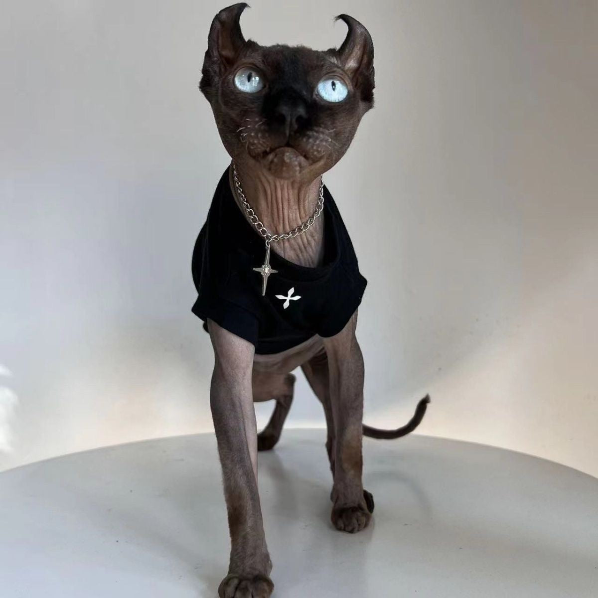 C004-Cool Black Shirt for Cats with Cross Print Summer Wear for Devon Rex and Sphynx Pets Stylish Fashionable Design