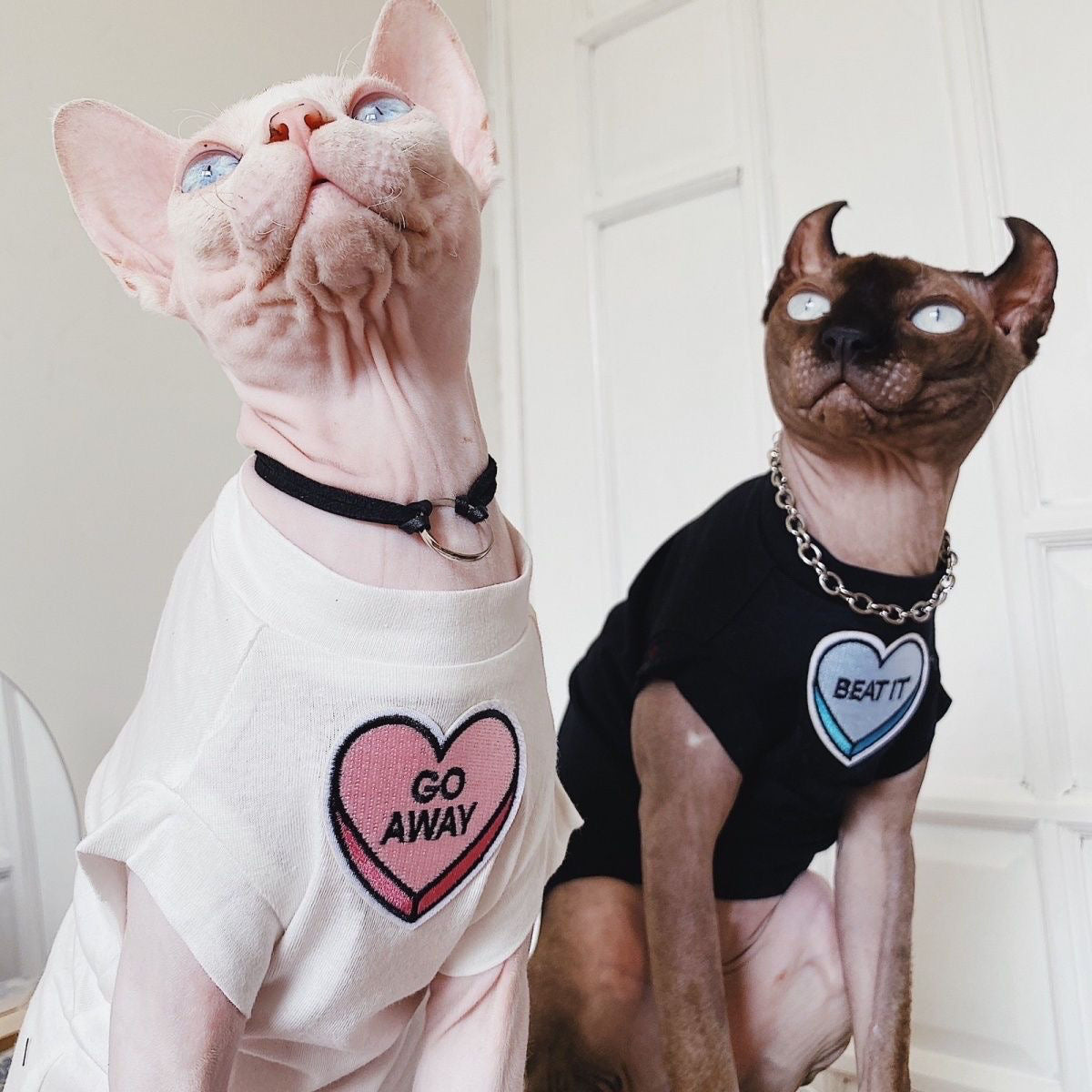 C006-Comfy Summer Shirt for Cats Matching Color Couple Wear for Devon Rex and Sphinx Cat with "Go Away" & "Beat It" Designs