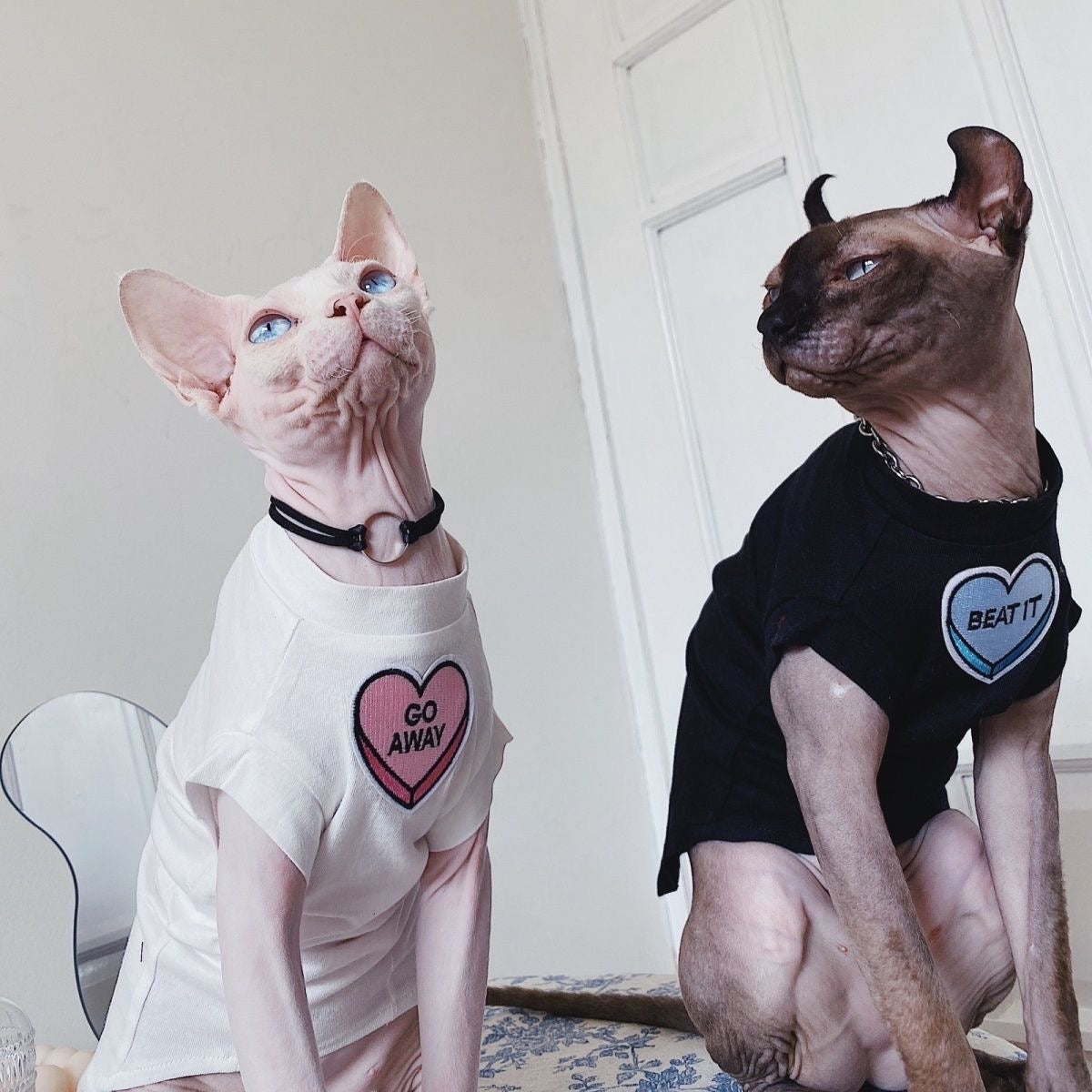 C006-Comfy Summer Shirt for Cats Matching Color Couple Wear for Devon Rex and Sphinx Cat with "Go Away" & "Beat It" Designs