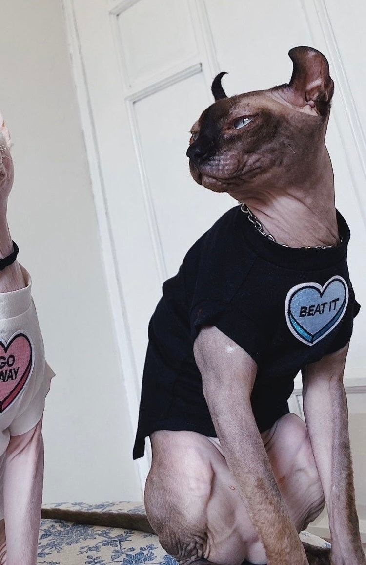 C006-Comfy Summer Shirt for Cats Matching Color Couple Wear for Devon Rex and Sphinx Cat with "Go Away" & "Beat It" Designs