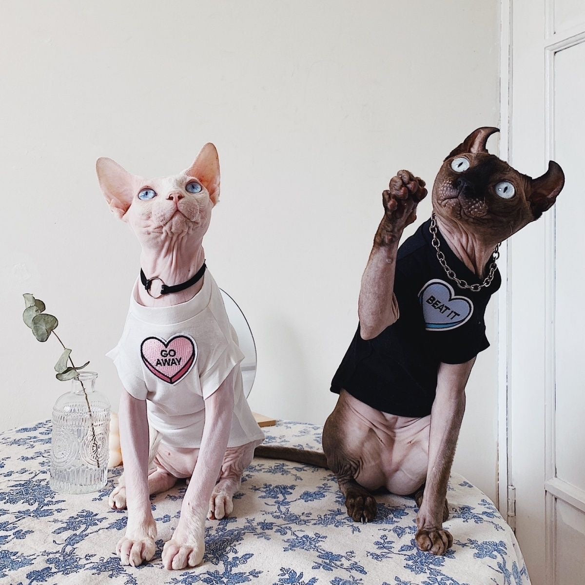 C006-Comfy Summer Shirt for Cats Matching Color Couple Wear for Devon Rex and Sphinx Cat with "Go Away" & "Beat It" Designs