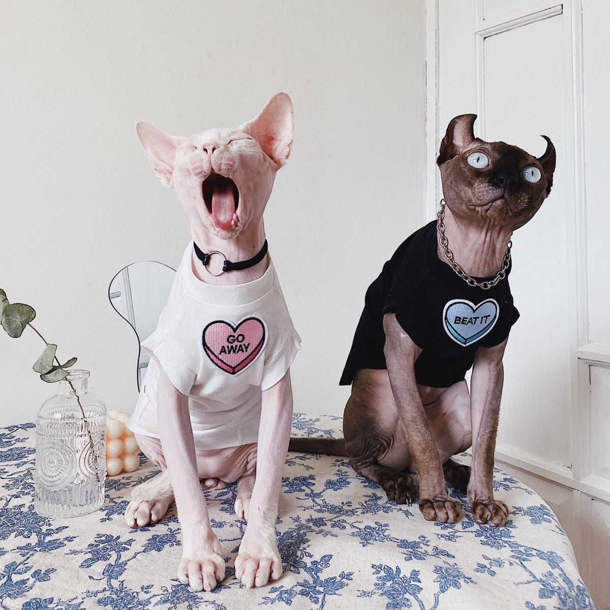 C006-Comfy Summer Shirt for Cats Matching Color Couple Wear for Devon Rex and Sphinx Cat with "Go Away" & "Beat It" Designs