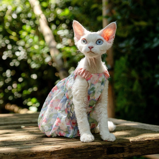 C012-Floral Pumpkin Dress for Cats Summer Breathable Wear for Devon Rex Sphinx Cat with Adorable Floral Pattern