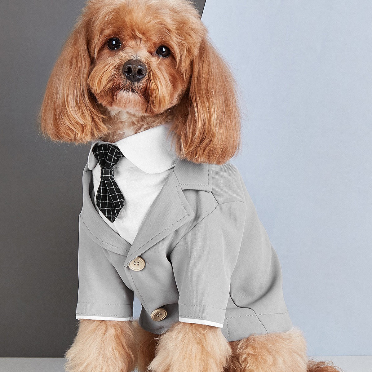 M002-Faux Two-Piece Blazer Tux for Small Dog Male Wedding Tuxedo for Poodle Bichon Stylish Black Formal Suit with White Collar