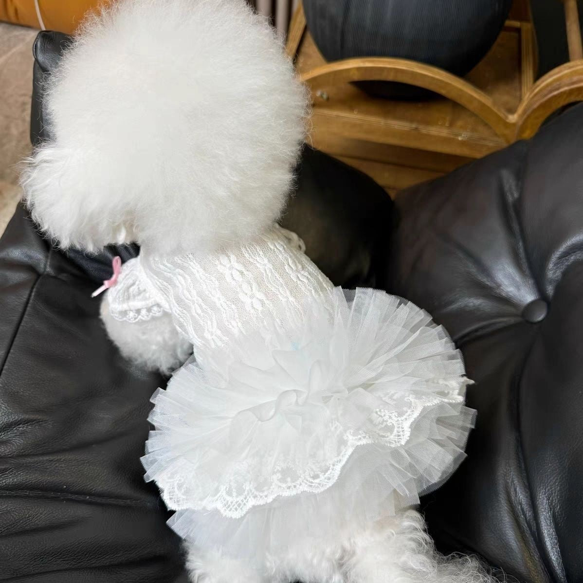F020-White Lace Lolita Style Dog Dress with Puff Sleeves Tutu Design Summer Breathable Pet Outfit for Small Dogs