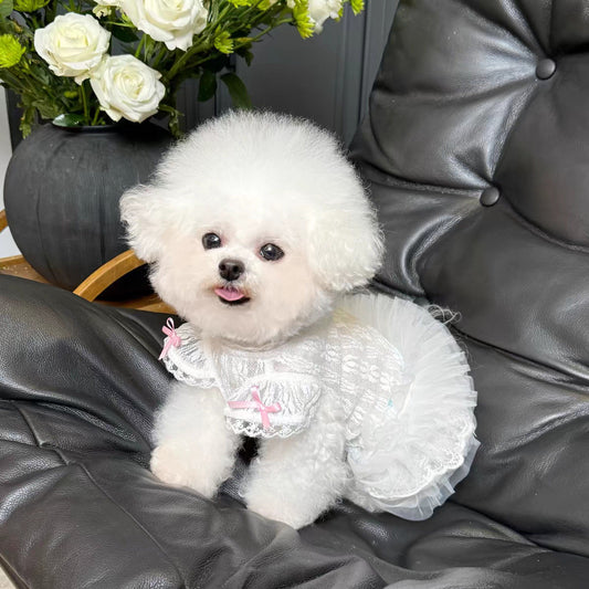 F020-White Lace Lolita Style Dog Dress with Puff Sleeves Tutu Design Summer Breathable Pet Outfit for Small Dogs