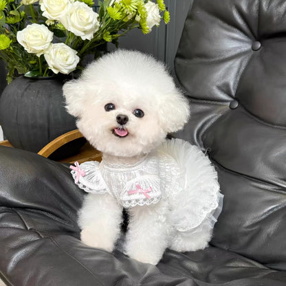 F020-White Lace Lolita Style Dog Dress with Puff Sleeves Tutu Design Summer Breathable Pet Outfit for Small Dogs