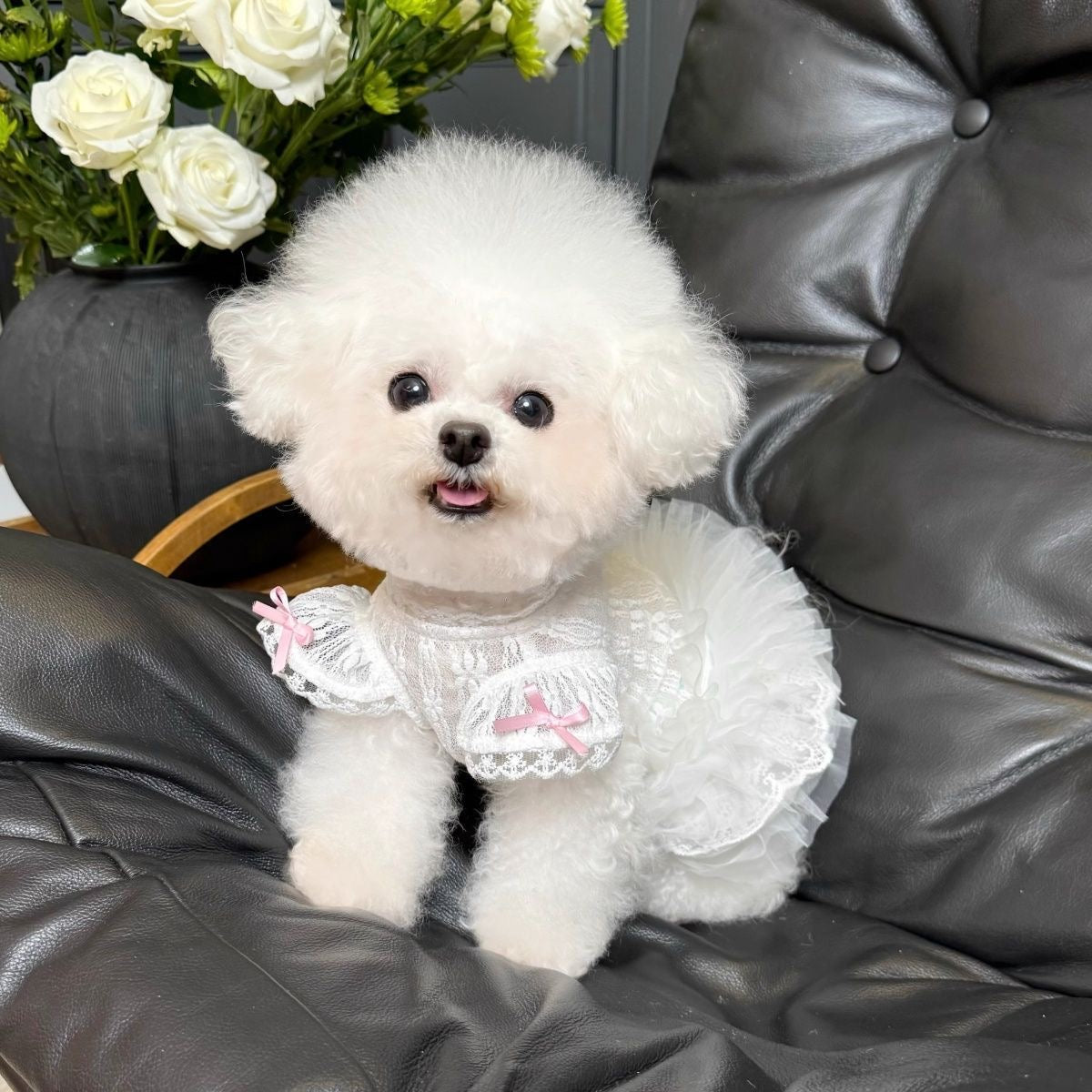 F020-White Lace Lolita Style Dog Dress with Puff Sleeves Tutu Design Summer Breathable Pet Outfit for Small Dogs