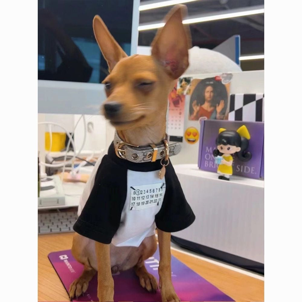 M008-White T-Shirt with Black Sleeve Numbers Pattern on Chest for Boy Dog Summer Wear Fashionable Pet Clothing