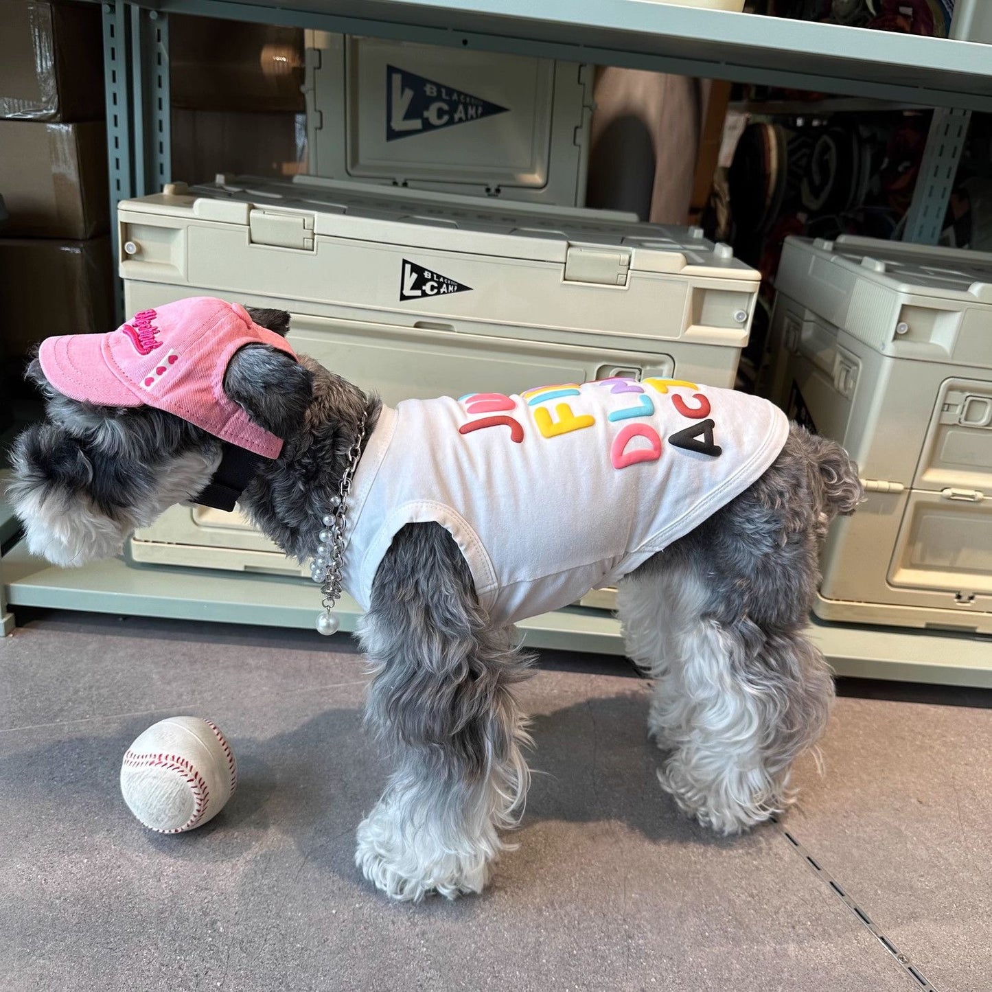 M009-White Vest Shirt with Colorful Letters Pattern Summer Wear Shirt for Small Dog Breathable Sleeveless