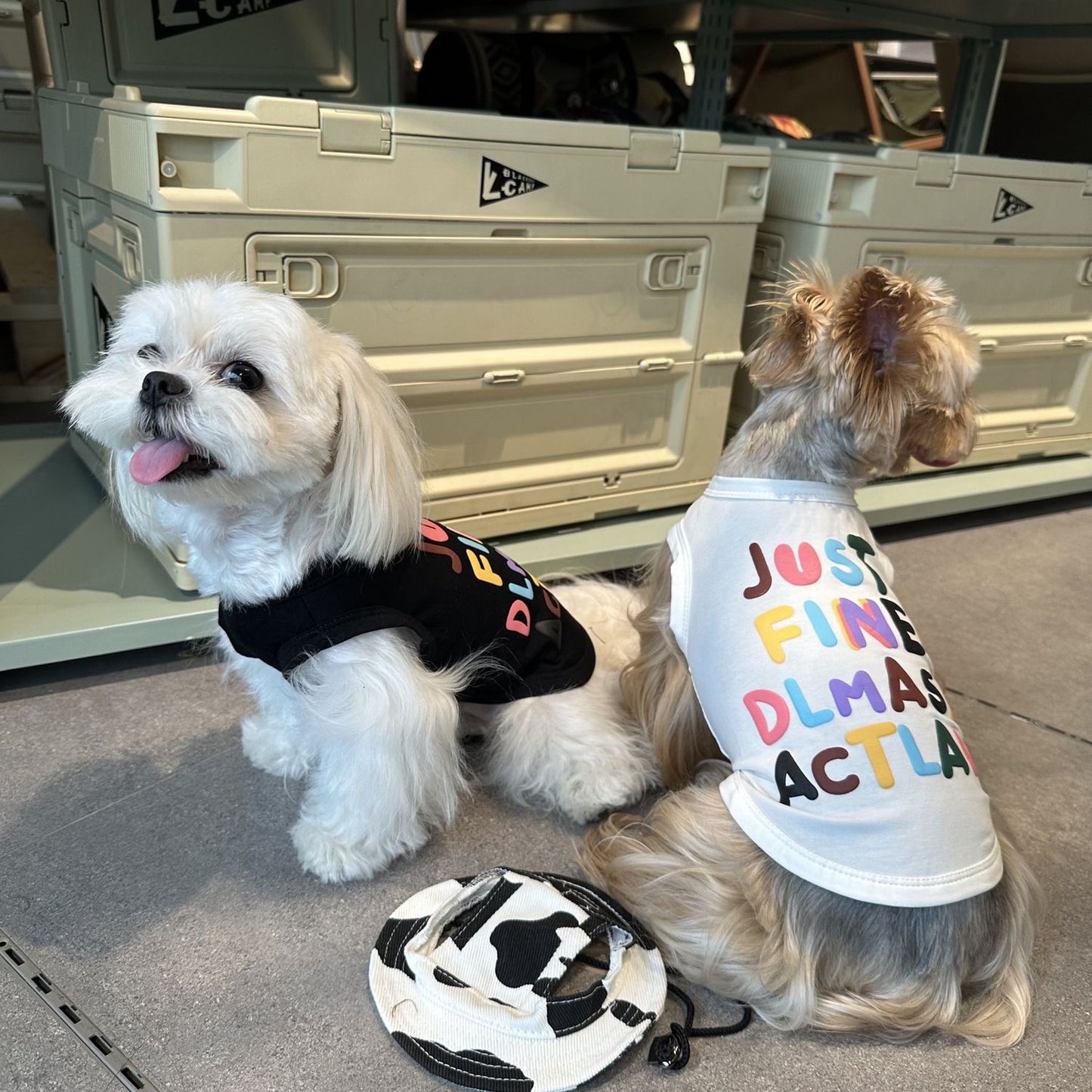 M009-White Vest Shirt with Colorful Letters Pattern Summer Wear Shirt for Small Dog Breathable Sleeveless