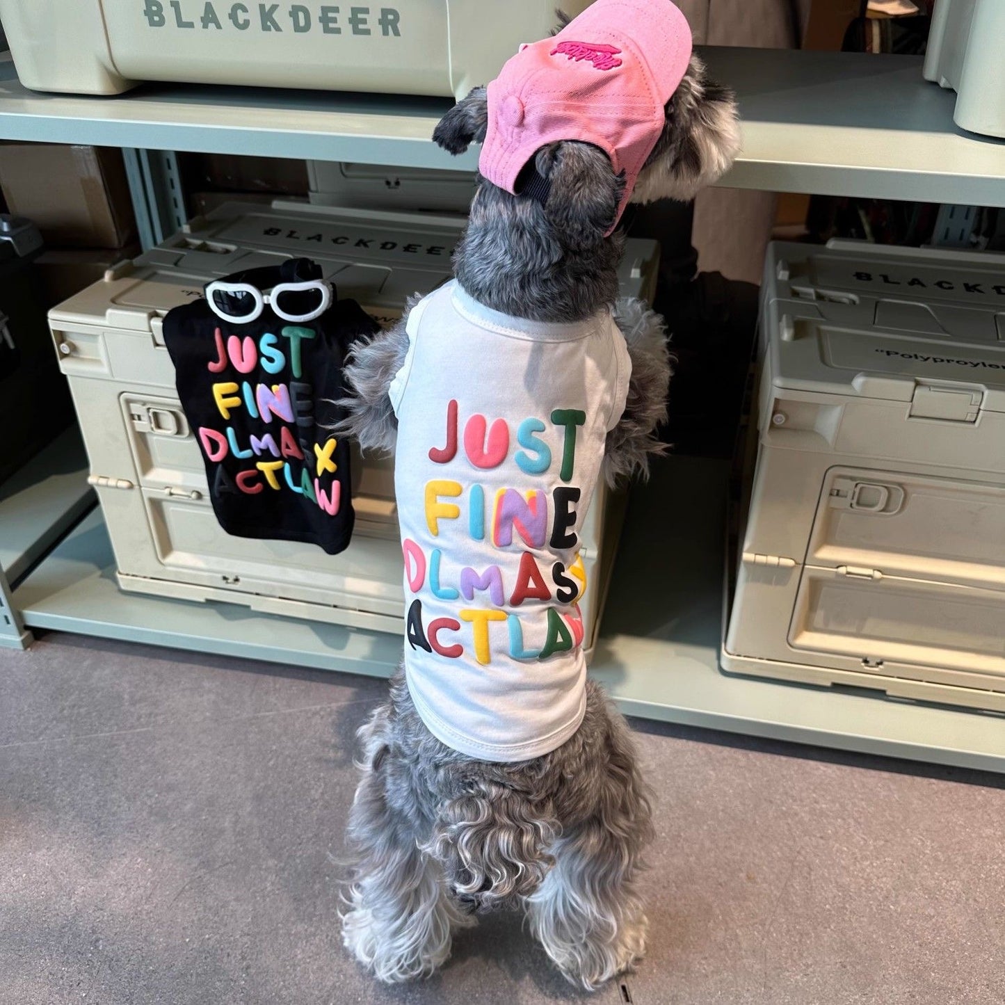 M009-White Vest Shirt with Colorful Letters Pattern Summer Wear Shirt for Small Dog Breathable Sleeveless