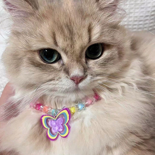 A002-Cute Necklace Butterfly Colorful Rainbow Color for Dogs Cats Small Pets Pet Accessories Birthday Gift