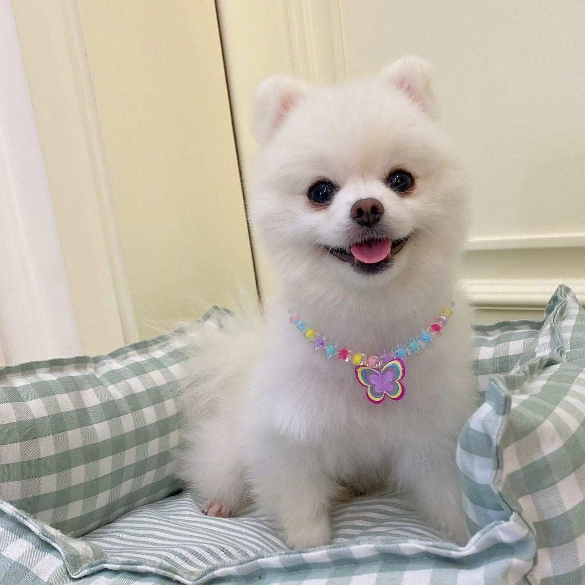 A002-Cute Necklace Butterfly Colorful Rainbow Color for Dogs Cats Small Pets Pet Accessories Birthday Gift