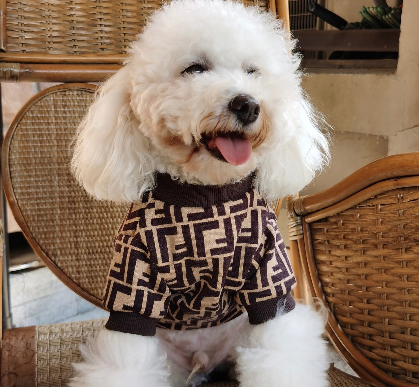 FF Inspired Sweater for Small Dogs Autumn Warm Outfit for Male Dog for Bichon Poodle Maltese