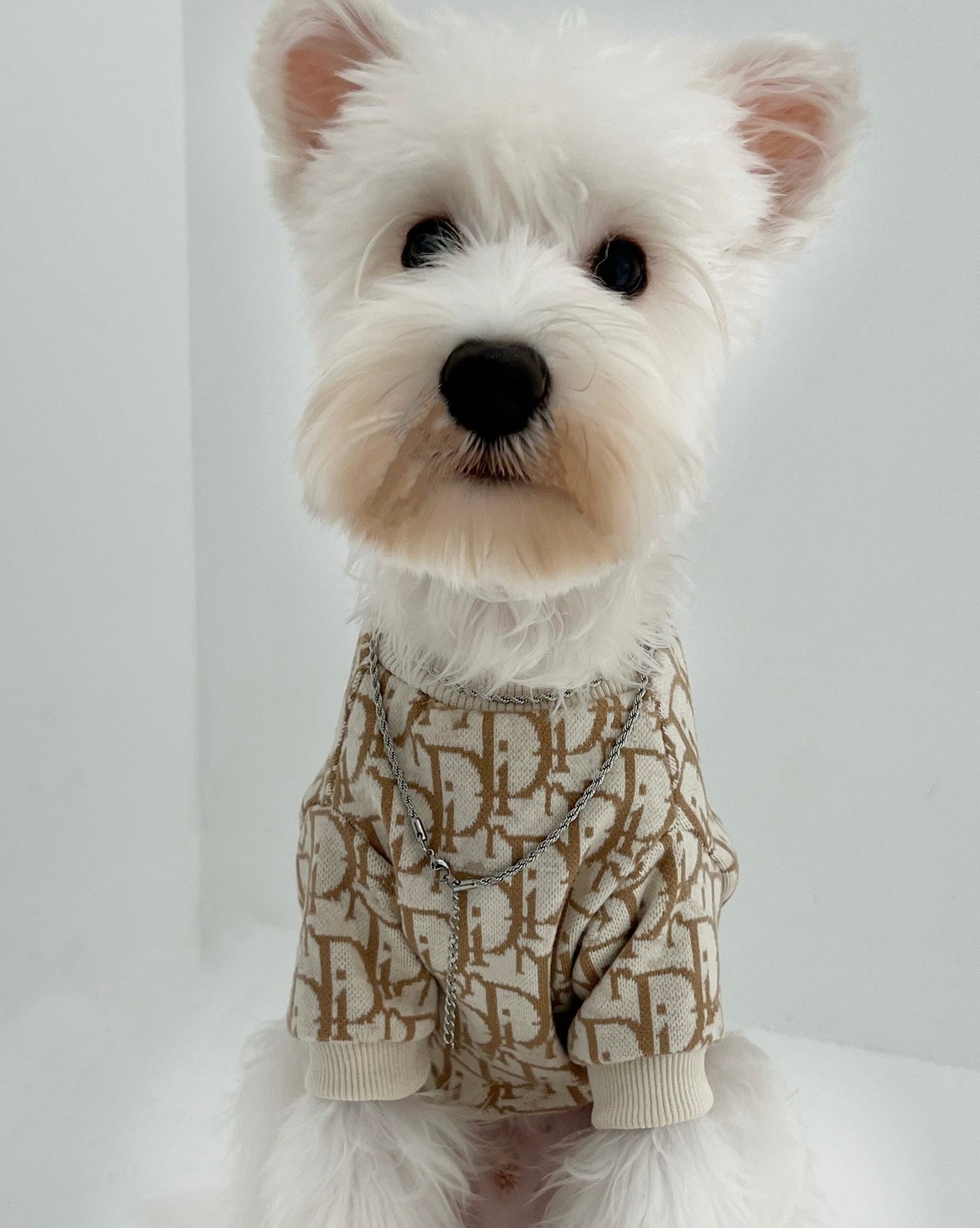 DD Inspired Pet Sweater Dog Puppy Clothes Autumn and Winter Poodle Corgi Bichon Shihtzu
