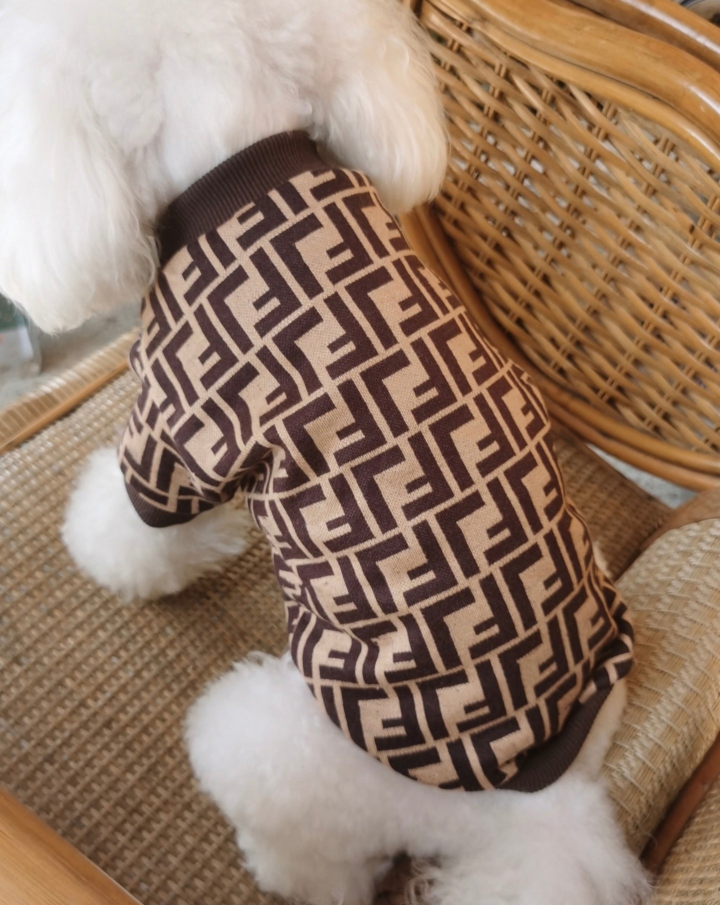FF Inspired Sweater for Small Dogs Autumn Warm Outfit for Male Dog for Bichon Poodle Maltese