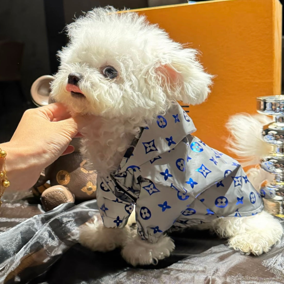 Pet Streetwear Reflective Windbreaker Jacket for Dogs – Fashionable Pet Apparel for French Bulldogs, Corgis, Poodles, and Pugs