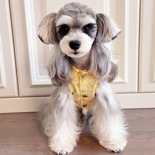 Dog clothes trendy brand thin large and medium-sized dog  bear teddy corgi schnauzer pet puppy summer